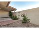 Enclosed patio with stucco wall and flowering plants at 13237 N 25Th Dr, Phoenix, AZ 85029