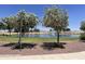 The community pond features blooming trees and a water fountain for residents to enjoy at 178 W Pacific Dr, Casa Grande, AZ 85122