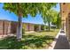 Beautiful landscaped exterior with mature trees providing ample shade and privacy at 2105 S Zinnia Ave # 468, Mesa, AZ 85209