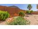 Backyard landscaping including several young trees and low maintenance landscaping at 25945 W Runion Dr, Buckeye, AZ 85396