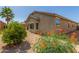 Back of house and desert landscaping including colorful flowering shrubs at 25945 W Runion Dr, Buckeye, AZ 85396