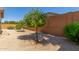 Gravel backyard with young trees and a brick wall at 25945 W Runion Dr, Buckeye, AZ 85396