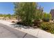 Beautiful home surrounded by lush desert landscaping and vibrant flowering bushes at 34009 N 29Th Dr, Phoenix, AZ 85085
