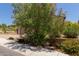 Beautiful home surrounded by lush desert landscaping and vibrant flowering bushes at 34009 N 29Th Dr, Phoenix, AZ 85085