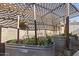 Custom gardening area with raised beds and a lattice shade covering to keep plants healthy at 4111 S Dewdrop Ct, Gilbert, AZ 85297