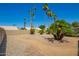Large backyard featuring desert landscaping, including tall palm trees, in this well kept property at 4216 E Sandia St, Phoenix, AZ 85044
