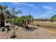 Lush landscaped backyard with desert landscaping and views at 4680 E Nightingale Ln, Gilbert, AZ 85298
