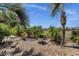 Beautiful mature trees and desert landscaping enhance the backyard at 4680 E Nightingale Ln, Gilbert, AZ 85298