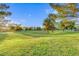 Expansive green park area with trees and open space, ideal for outdoor activities and relaxation at 6502 W Wahalla Ln, Glendale, AZ 85308