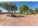 Picturesque common area with mature trees, bushes, landscaping, and walking path at 7725 S 47Th Ln, Laveen, AZ 85339