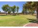 Lush common area features tall trees, green grass, and well-maintained lawns at 7725 S 47Th Ln, Laveen, AZ 85339