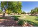 Serene common area with lush lawn, shady trees, walking path, and well-kept shrubbery at 7725 S 47Th Ln, Laveen, AZ 85339