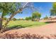 Beautiful common area with lush lawn, mature trees, walking paths, and lush landscaping at 7725 S 47Th Ln, Laveen, AZ 85339