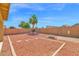 Low-maintenance backyard featuring rock landscaping, brick fence, and a mature palm tree at 885 E Lakeview Dr, San Tan Valley, AZ 85143