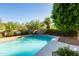 Backyard pool with lush landscape and palm trees at 9571 E Nittany Dr, Scottsdale, AZ 85255