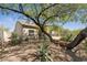Private backyard showcases mature trees, desert landscaping, and the home's patio at 11008 N 119Th Pl, Scottsdale, AZ 85259