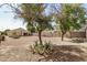 Desert landscaped backyard with mature trees offers a low-maintenance oasis at 1501 S 122Nd Ave, Avondale, AZ 85323