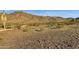 Scenic desert landscape featuring native vegetation and mountain views at 1641 W Windsong Dr, Phoenix, AZ 85045