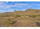 Desert landscape with cacti and mountain views under a partly cloudy sky at 1641 W Windsong Dr, Phoenix, AZ 85045