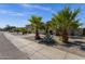 Well-maintained front yard features desert landscaping, mature palms, and a paved walkway in front of the property at 1641 W Windsong Dr, Phoenix, AZ 85045