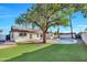 Backyard with a pool, deck, grass and large shade tree at 1720 W Highland St, Chandler, AZ 85224