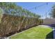 Private backyard features an artificial lawn, concrete patio, and a privacy wall covered in trees at 1886 E Don Carlos Ave # 136, Tempe, AZ 85281