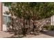 Exterior of the complex showcasing desert landscaping, trimmed shrubs, and walkways at 205 N 74Th St # 110, Mesa, AZ 85207
