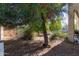 View of the private backyard featuring mature trees and low-maintenance landscaping at 3553 W Dancer Ln, San Tan Valley, AZ 85144