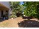 Landscaped backyard showcasing mature trees and partial patio with a grill at 3553 W Dancer Ln, San Tan Valley, AZ 85144
