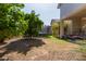 Expansive backyard featuring a trampoline, mature trees, and covered patio at 3553 W Dancer Ln, San Tan Valley, AZ 85144