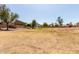 Spacious open field with mature trees and mountain views in the distance at 3553 W Dancer Ln, San Tan Valley, AZ 85144
