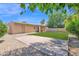 Spacious backyard features a well-maintained lawn, a concrete patio, and low-maintenance desert landscaping at 3919 E Larkspur Dr, Phoenix, AZ 85032