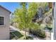 Scenic backyard view featuring lush greenery, mature trees, and inviting walking paths at 5734 S 21St Pl, Phoenix, AZ 85040