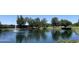 Picturesque pond featuring a calming fountain surrounded by green lawns and mature shade trees at 7725 W Mcrae W Way, Glendale, AZ 85308