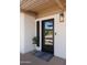 Stylish front door with sleek design, complemented by a modern light fixture and charming greenery at 8049 E Serene St, Carefree, AZ 85377