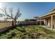 Spacious backyard featuring block perimeter fencing and a covered patio at 8566 N 108Th Ln, Peoria, AZ 85345