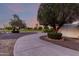 Extended driveway leading to a home with mature trees and landscaping in a community setting at 10516 W Peoria Ave, Sun City, AZ 85351