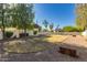 View of the backyard with mature trees offering natural shade and surrounding the expansive lawn at 1621 N Chippewa Dr, Chandler, AZ 85224