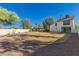 A spacious backyard is landscaped with mature trees and is surrounded by a block wall for privacy at 1621 N Chippewa Dr, Chandler, AZ 85224