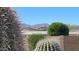 Close-up of native desert plants showcasing the natural beauty of the area with mountain views at 18375 E San Ignacio Ct, Gold Canyon, AZ 85118