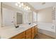 Primary bathroom featuring dual sinks, bathtub, and updated light fixture at 2511 W Blue Sky Dr, Phoenix, AZ 85085