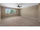 Large, carpeted bedroom featuring a ceiling fan and a bright window at 2614 E Carob Dr, Gilbert, AZ 85298