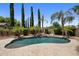 Backyard swimming pool with stone surround, lush landscaping, and tall trees at 2614 E Carob Dr, Gilbert, AZ 85298