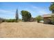 Expansive backyard with mature trees, offering plenty of room for gardening and outdoor entertainment at 2921 N 103Rd Ave, Avondale, AZ 85392