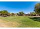 Expansive community park with a playground, green grass, mature trees, and picnic area at 42022 W Cheyenne Dr, Maricopa, AZ 85138