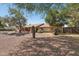 Well-kept single story home with mature trees, desert landscaping, and a decorative cactus at 5410 E Poinsettia Dr, Scottsdale, AZ 85254