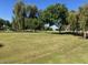 Lush green park with mature trees, providing a serene and recreational space at 5450 E Paradise Ln, Scottsdale, AZ 85254