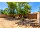 A private backyard with mature trees and block fencing at 8341 W Cypress St, Phoenix, AZ 85037