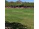 Green common area with several shade trees and mountain views at 9262 E Desert Park Dr, Scottsdale, AZ 85255