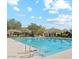 Large community pool with lane lines, lounge chairs, and umbrellas, surrounded by lush landscaping and mountain views at 9262 E Desert Park Dr, Scottsdale, AZ 85255